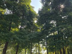-金沙遗址博物馆