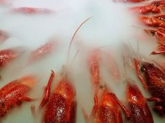 -红盔甲·小龙虾(天钥桥店)