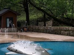 -东明山森林公园