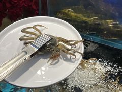 -苏格里岛自助烤肉海鲜火锅(成都金牛万达店)
