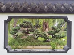 -盆景园(扬州大运河文化旅游度假区)