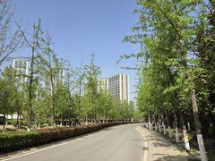 -大雁塔北广场音乐喷泉
