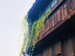 -乌镇西栅景区