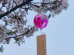 -堤角公园