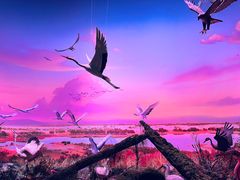 -中国湿地博物馆