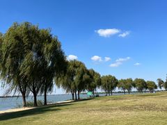 -漕湖湿地公园