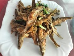 -雁荡老杨土菜馆