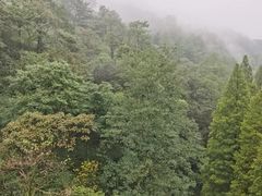 -青城山