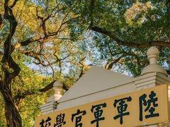 -长洲岛