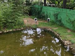 -西霞口神雕山野生动物世界