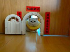 -纳吉亚猫专科动物医院博雅分院