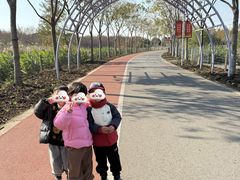 -上海长兴岛郊野公园