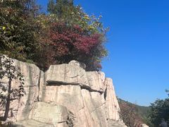 -北京西山国家森林公园