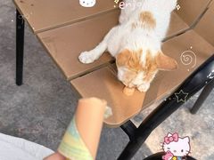 -白城沙滩
