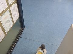 -博特宠物医院24h犬猫全科.骨科·异宠