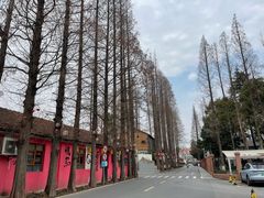 -云间粮仓