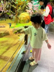 -酷嗒动物文化乐园(cutezoo西溪乐天城店)