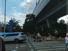 -宝安西湾红树林湿地公园