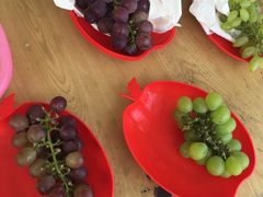 -马陆小张葡萄园农家乐