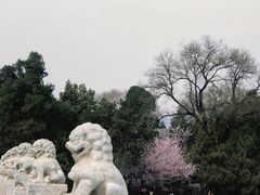 -颐和园