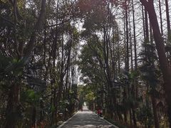 -同里国家湿地公园