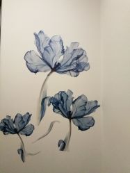 -DEM缔怡美科技美容