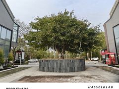 -仙海旅游度假区