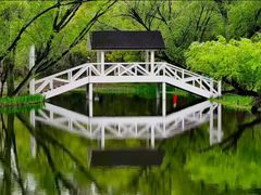 -上海共青森林公园