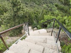 -大连金龙寺国家森林公园-售票处