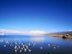 -青海湖国家重点风景名胜区