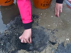 -北海金海湾红树林生态旅游区