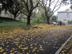 -文华公园(禅城区)