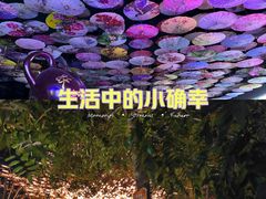 -黄龙溪古镇
