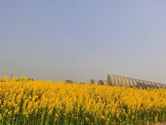 -中国天府农业博览园