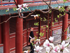 -潭柘寺景区