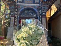 -寂照庵