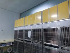 -东方动物医院·宠保定点·骨科·转诊中心(春城路·昆明站分院)
