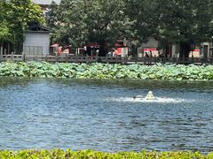 -荔湾湖公园