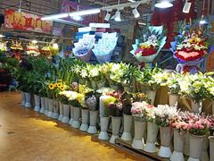 -大自然花鸟鱼虫市场