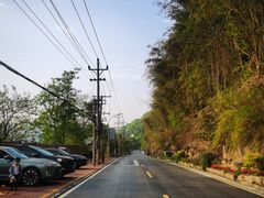 -铁山坪森林公园