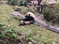 -健康小吃