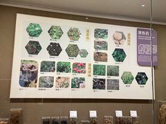 -北京中医药大学-中医药博物馆