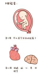 -邢台妇产医院
