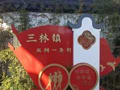 -三林塘老街