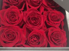 -ROSEONLY诺誓(沈阳万象城店)