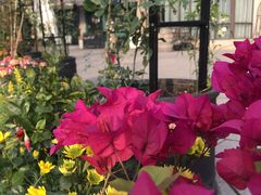 -龙猫意杯花园餐厅(芙蓉湖店)