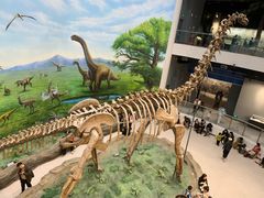 -辽宁古生物博物馆