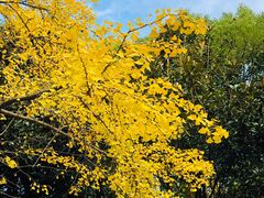 -苏州河梦清园环保主题公园