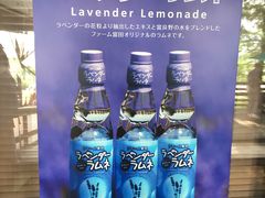 -富田农场