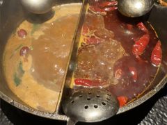 -大龙燚·旷野鲜火锅(广州首店)